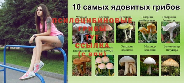 каннабис Краснослободск